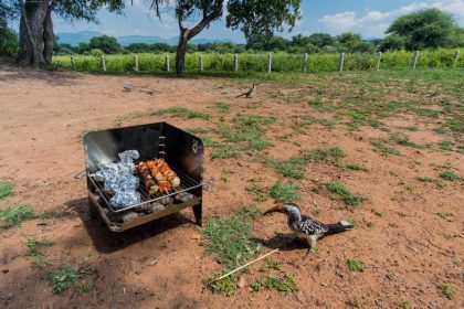 Der FireQ in Südafrika