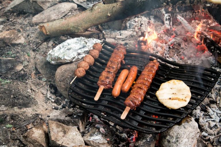 Der Reisegrill FireQ - Mehr als nur ein Grill! - felsundwald.de